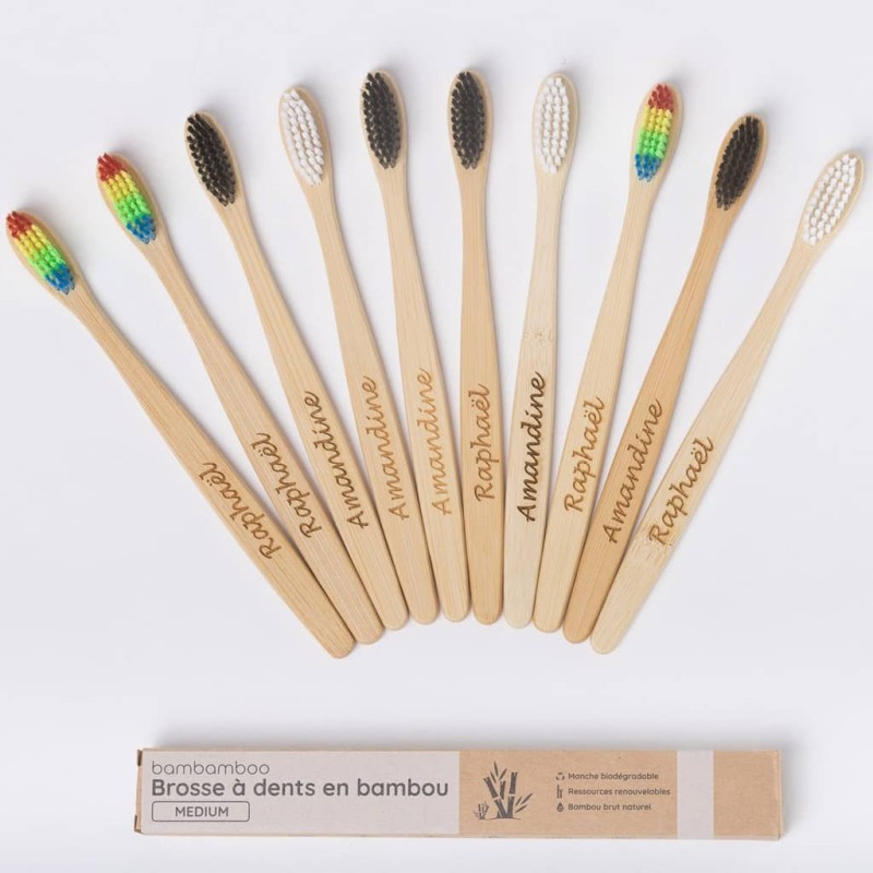 Lot de brosses à dents en bambou multicolore