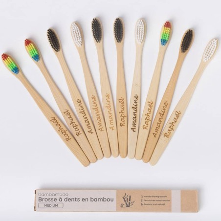 Lot de brosses à dents en bambou multicolore