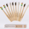 Lot de brosses à dents en bambou multicolore